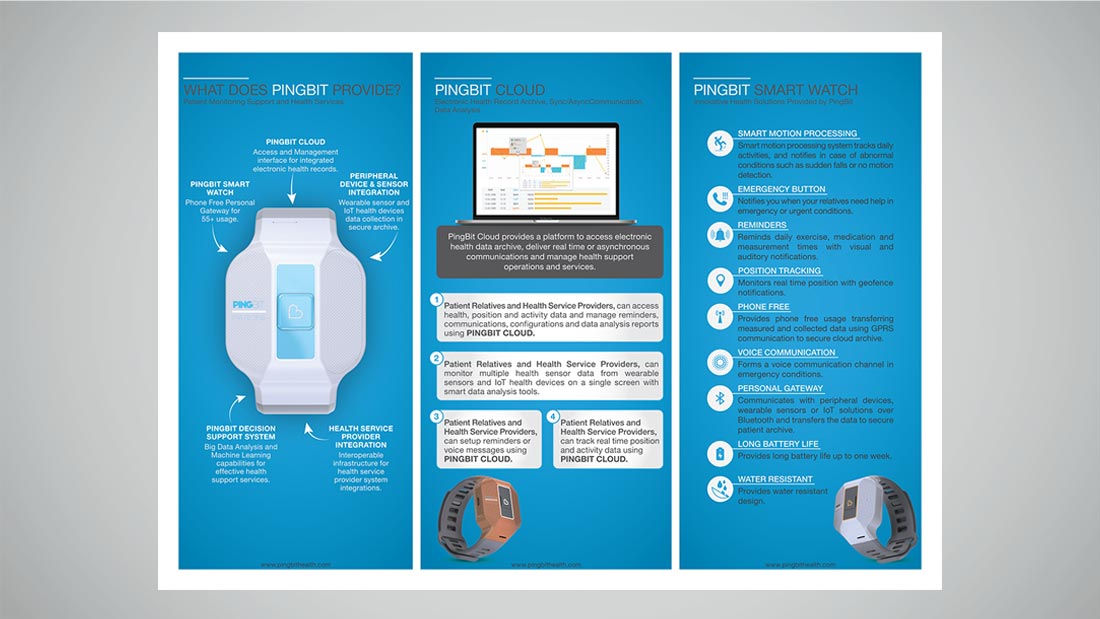 Pingbit broşür tasarımı