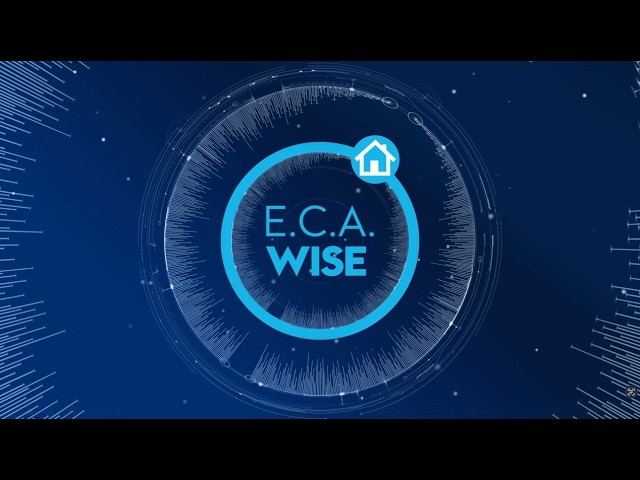 E.C.A. & SEREL İyileştirme Hareketi ikinci film